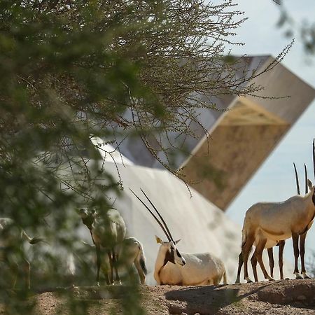 Green Mubazzarah Chalets Al Ain Esterno foto