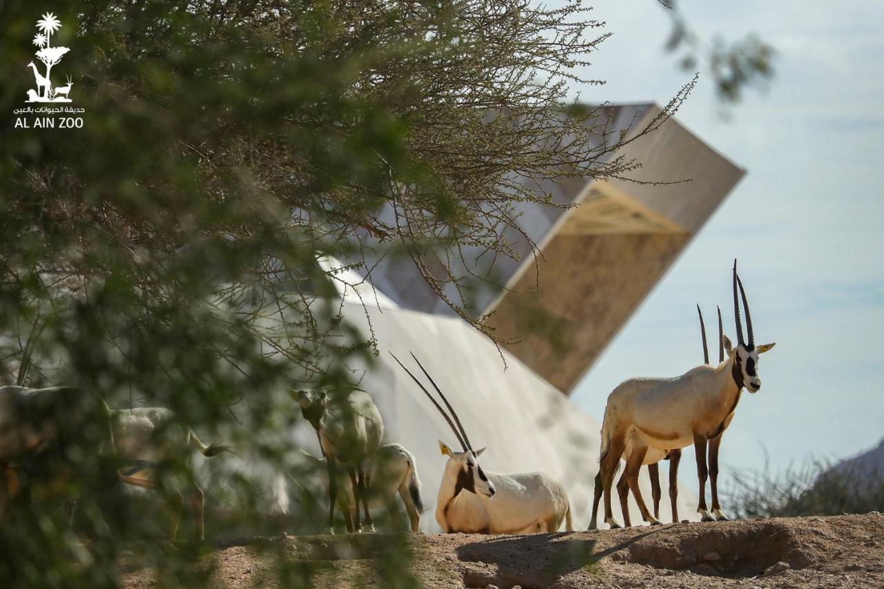 Green Mubazzarah Chalets Al Ain Esterno foto