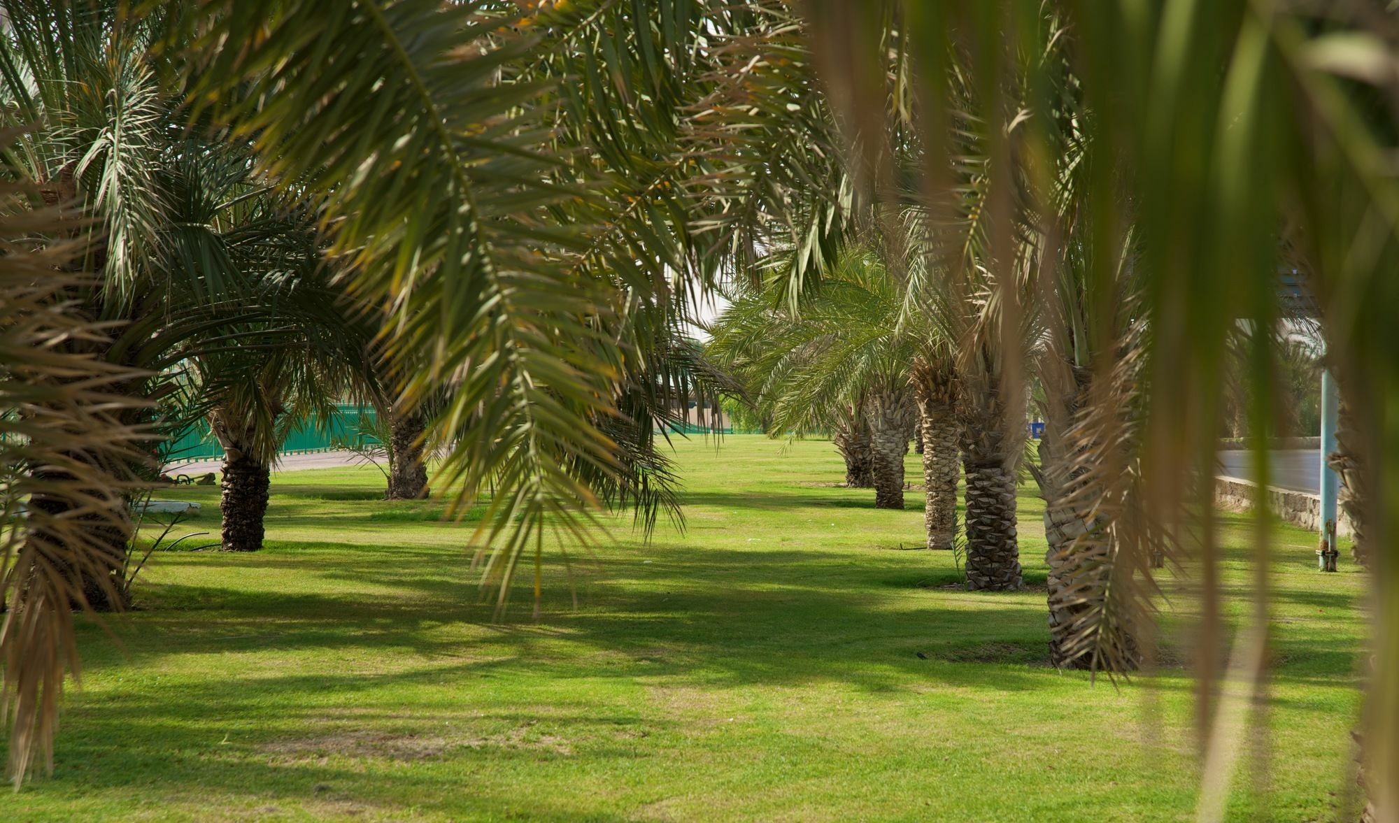 Green Mubazzarah Chalets Al Ain Esterno foto